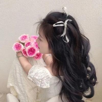 职业替身 封面