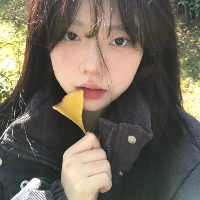 边城 封面