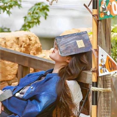 玉女求凰 封面